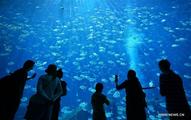 China's first Atlantis resort opens in Sanya