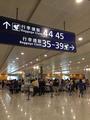 Shanghai International Airport sees 31 pct growth in net profits