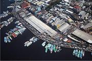 Construction of Chinese-led port kicks off, aims to boost logistics capacity in NE Brazil