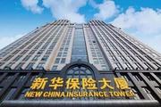 New China Life Insurance asset value hits 710 bln yuan
