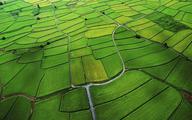 Chinese firms to develop clean agriculture in Laos
