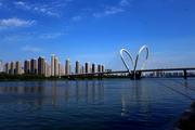 Shenyang FTZ establishes international chamber of commerce