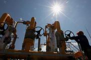 Petrobras to build largest gas plant in Brazil with Chinese firm