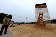 Chinese agri firms grow in B&R markets