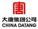 China Datang to further tap B&R nations by expanding overseas