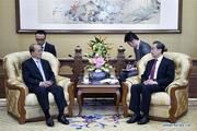Chinese state councilor meets with former Myanmar president 