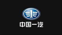 Chinese carmaker FAW releases new Hongqi model