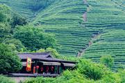 China makes progress in agricultural green development