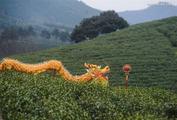 Crawling train, hidden fortune for remote village