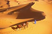 Chinese company taps into Moroccan market by promoting group-buying to farmers