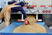 Californian farmers worry about future loss amid US-China trade dispute