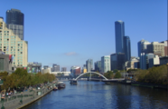 Australian government, business circles eye China International Import Expo
