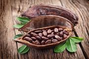 China to help Ghana build new cocoa processing plant: official