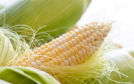 China's corn exports projection slashed due to supply gap 