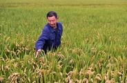 Israeli agritech firms show growing interest in Chinese market