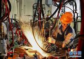 China's economic activity holds steady despite uncertainties 