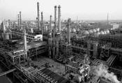 China Focus: China's old industrial base attracts global investors