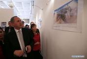 Algeria pays tribute to China's Silk Road with large exhibition 