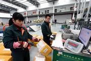 E-commerce revenue growth stable on diversification efforts