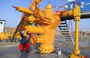China to allow 11 non-State firms to import crude oil