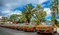 Chinese autos gain consumer confidence, market share in Ecuador 