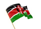 New Chinese envoy vows to deepen China-Kenya ties 