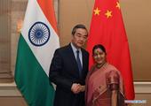 China, India vow to strengthen cooperation for common development 