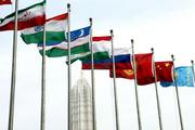 Business leaders laud SCO's role in regional economic cooperation