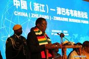 Zimbabwe, China sign 1-bln-USD MoU for setting up steel plant 