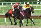 S. China’s Hainan to release plan for horse racing dev. soon 