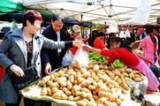 China's farm produce prices continue to fall