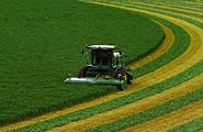 African trainees receive agricultural training in Guizhou 