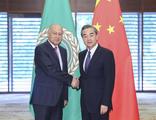 Chinese State Councilor holds talks with AL chief, Egyptian FM 