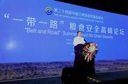 China to strengthen food trade, co-op with countries along Belt and Road  