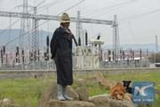 Ethiopia inaugurates Chinese-built electricity transmission line