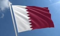 Chinese state councilor holds talks with Qatari FM 