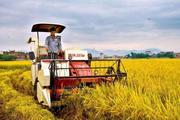 Across China: Chinese farmers use new methods as agriculture goes automated 