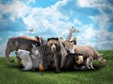 Belt and Road countries to jointly protect biodiversity