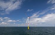 Growth in German North Sea wind power slows in first half