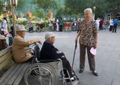 China's pension fund investment grows steadily