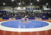 China-built modern wrestling arena to revive Senegal's time-honored sport