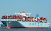 Chinese vessel's new voyage along ancient Silk Road 