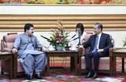 Chinese state councilor meets with Pakistan's senate chairman 