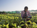 China helps train African youth in agriculture 