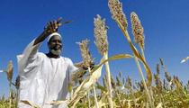 Chinese companies sign agriculture co-op agreement with Sundan 