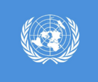 UNSC members' visit to China "rich and intensive": envoy