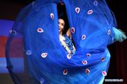 China arts festival kicks off in San Francisco to build cultural bridge 