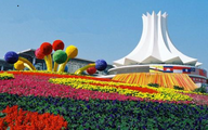 29 countries along Belt and Road to participate in 15th China-ASEAN Expo 