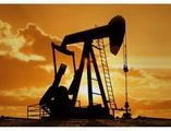 China's oil service sector enters boom cycle with abundant orders 