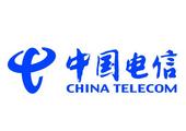 China Telecom aids S.China Guangxi in digital construction